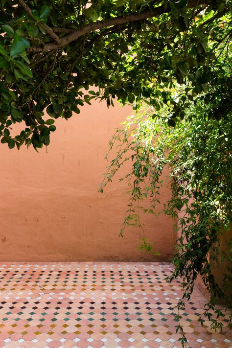 Inspiración colores terracota