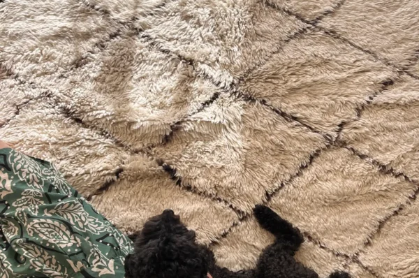 Como limpiar alfombra de lana