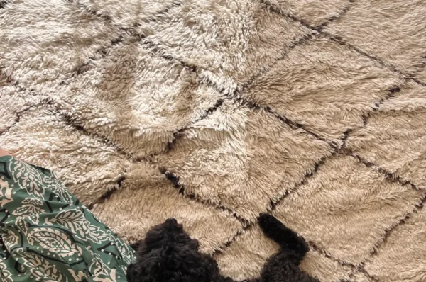Como limpiar alfombra de lana