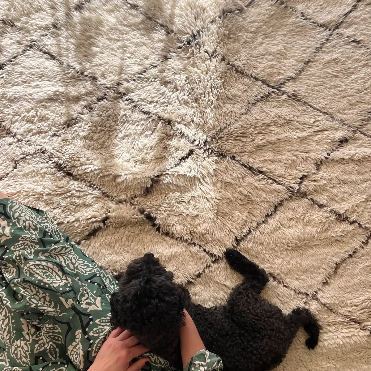 Como limpiar alfombra de lana