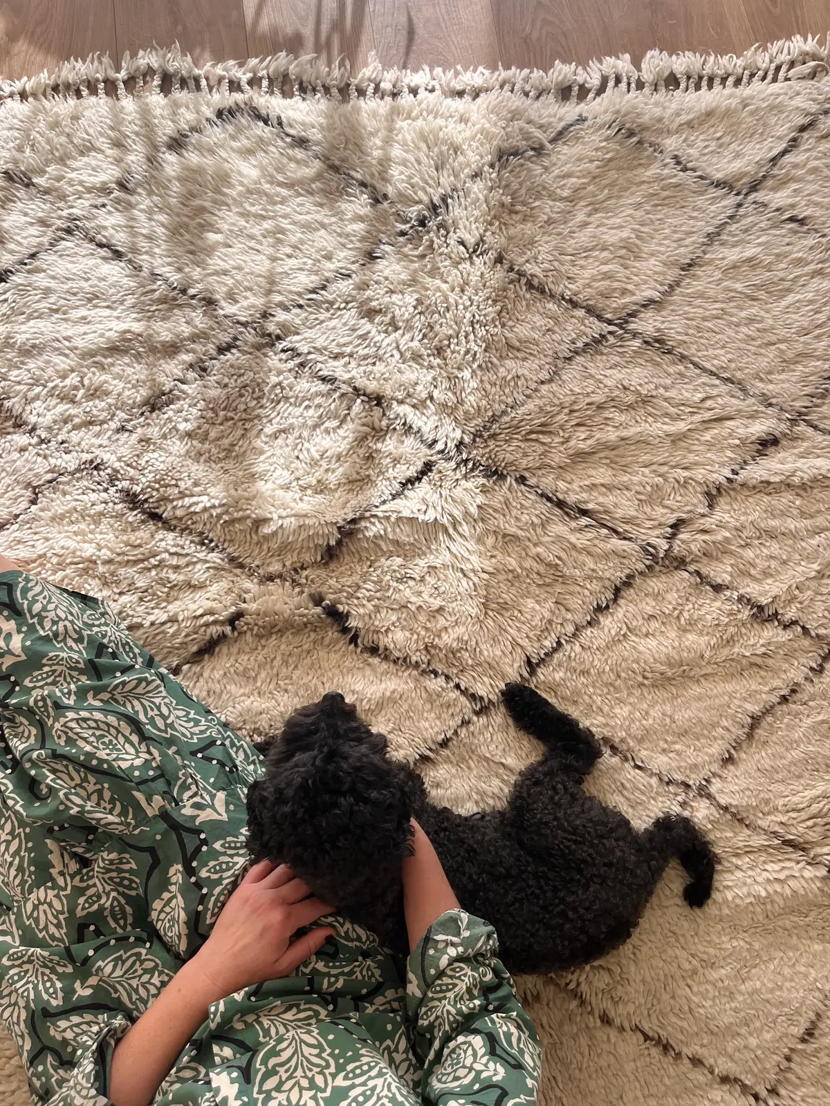 Como limpiar alfombra de lana