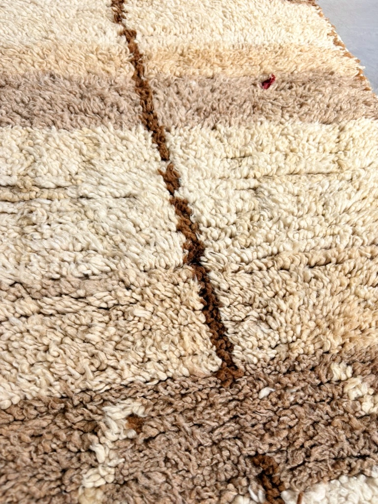 alfombra vintage tonos tierra 6 alfombra vintage en tonos tierra